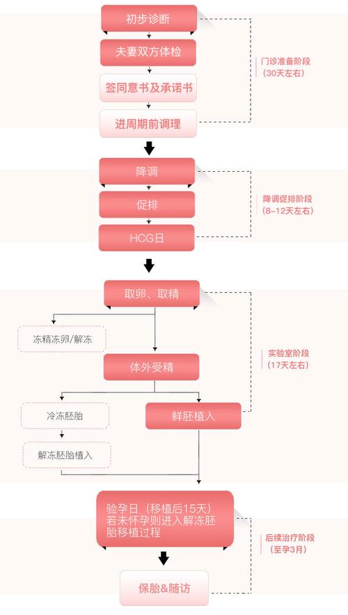 试管婴儿周期时间要多久，看主任医师说