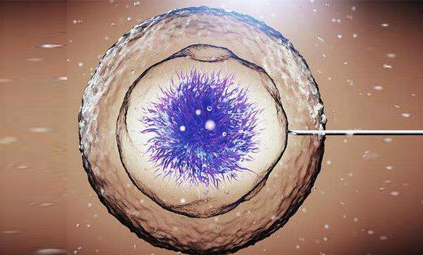 试管婴儿与癌症风险：科学解析，破除谣言大揭秘！