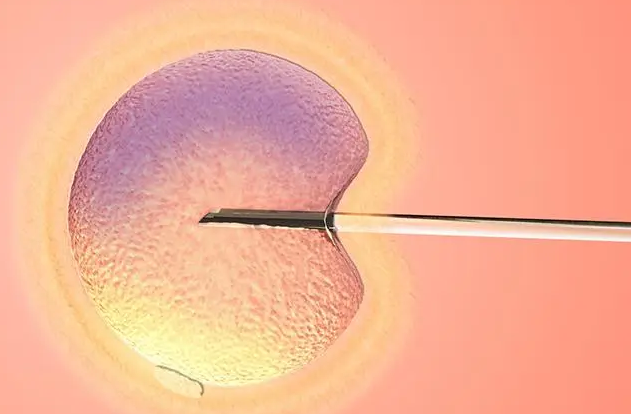 【科普】囊胚移植全面详解，包括过程、安全性等相关问题